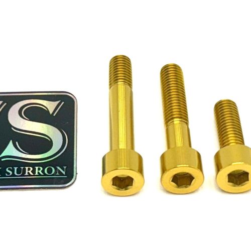 titanium motor bolts surron lbs lbx segway x160 x260 310790