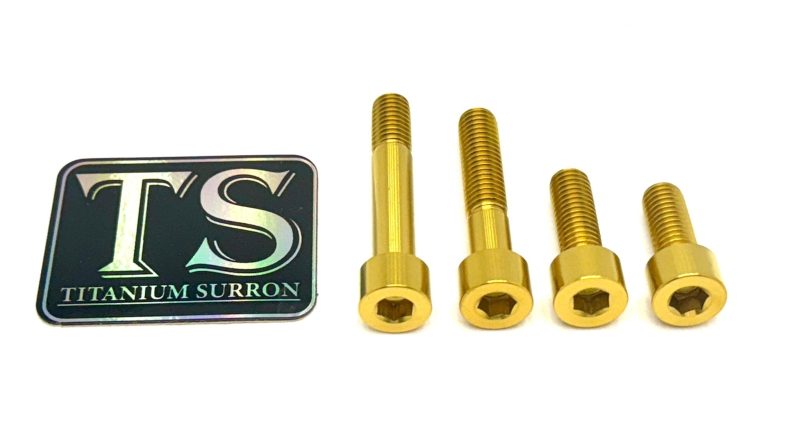 titanium motor bolts surron lbs lbx segway x160 x260 310790